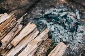 Firewood aged on concrete or soil for about six to eight months will grow mold. Free Firewood 8 Places To Find It Near You Insteading