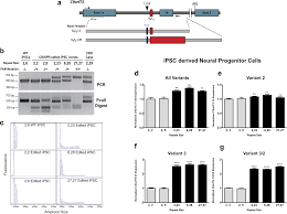 C9orf72 Intermediate Repeats Are Associated With