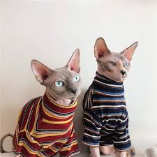 Cat hats, bath kit, jewelry/accessories/gifts. Hcyd Sphinx Clothes Hairless Cat Clothes Pet Supplies Kittens Wine Red S Buy Online In Canada At Canada Desertcart Com Productid 158976428