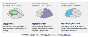 Universal Design For Learning Instructional Development