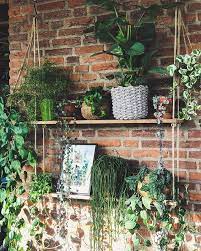 Plant Shelves Hanging Plants Patio