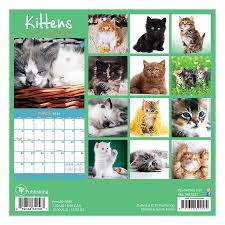 Cats & kittens 2020 russian wall calendar by artist vasya lozhkin василий ложкин. 2020 Kittens Mini Calendar Walmart Com Walmart Com