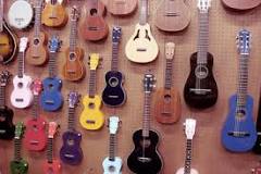 Image result for How Much Does Ukulele Cost In South Africa