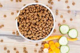 best dog food for allergies according