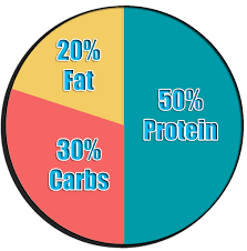 Pie Chart Calorie Intake To Gain Muscle Pie Chart In 2019