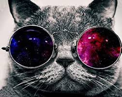 Tusenvis av nye høykvalitetsbilder legges til daglig. Cool Cat With Glasses Wallpaper Customized Rectangle Non Slip Rubber Mousepad Amazon De Burobedarf Schreibwaren