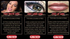 free permanent makeup mini courses for
