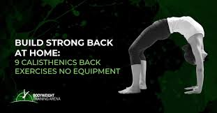 calisthenics back exercises no equipment