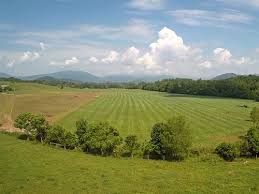 greene county virginia land