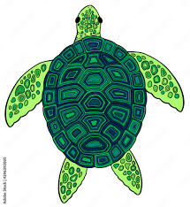 vector ilration cute sea turtle