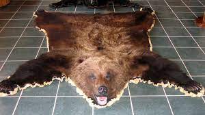 bear skins bear skin rugs grizzly
