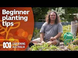How To Plant For Beginners Gardening