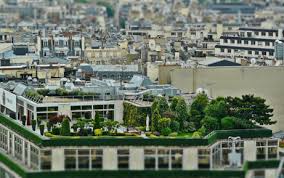 Rooftop Gardening On Energy Consumption