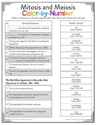 Mitosis coloring answer key | mychaume.com when we talk concerning free biology worksheets with answers, scroll down to see particular variation of photos to inform you more. Mitosis And Meiosis Color By Number By Science Teaching Junkie Inc
