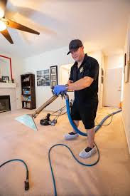 professional carpet cleaning henderson