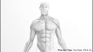 One way is to group them by their location on the anterior, lateral, and posterior regions of the body, but they can also be classified by anatomical. How To Draw A Male Torso Anatomy Drawing Youtube