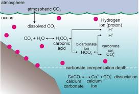 Carbon Dioxide Co2 With Water H2o