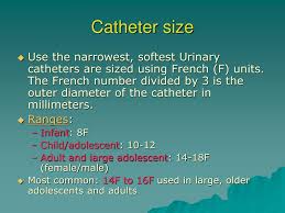 Ppt Urinary Catheterization Powerpoint Presentation Free