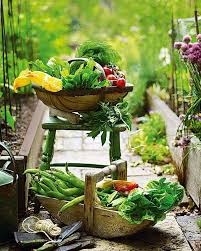 Grow Your Own Fruit And Veg