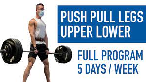 push pull legs upper lower program