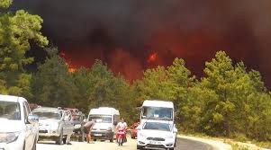 Jun 17, 2021 · yangın nedeniyle 80 hektarı adelphi ormanında olmak üzere yaklaşık 300 hektarlık orman alanı ve tarımsal ürünler zarar gördü. Wc1tepccqupkam