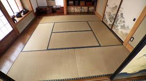 tatami anology plus mini nhk