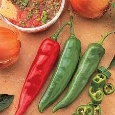 garden salsa hybrid pepper pots