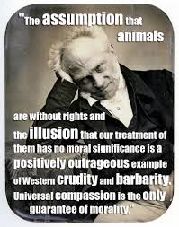 But if you live your life without feeling and compassion for the. 15 Quotes From Famous Thinkers Who Got It Right About Animals