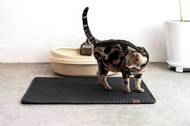 10 cat litter mats to keep litter from