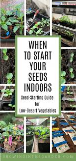 When to plant starter seeds? When To Start Seeds Indoors A Seed Starting Guide For Low Desert Vegetables Growing In The Garden