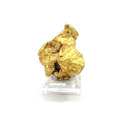 153 7 gram natural gold nugget