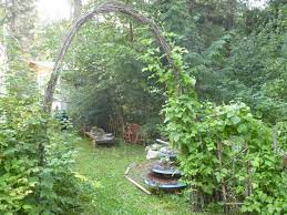 garden archway garden vines