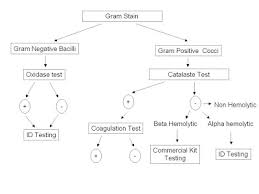 Sip Online Sharing Flowchart Of Identity Testing Group Post 1