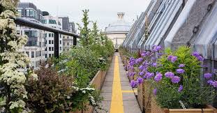 11 Of London S Top Rooftop Gardens