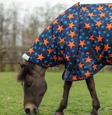 mark todd umweight turnout rug pony