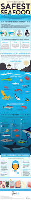 How To Choose The Safest Seafood Infographic Kayak