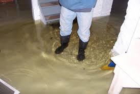 sewage backup and cleanup services we