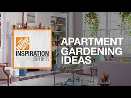 Apartment Gardening Ideas Inspiration