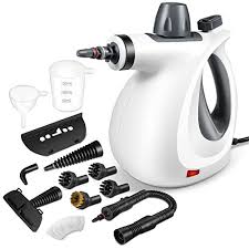 multi surface natural steam cleaner