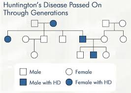 Huntingtons Disease It Is A Disorder Passed Down