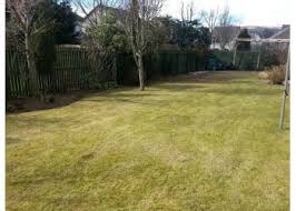 Lawn aeration services made easy. 3 Best Lawn Care In Perth Uk Expert Recommendations