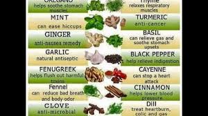 Dr Sebi Food List The Best Electric And Alkaline Foods For