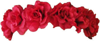 Scroll down below to explore more related crown, flower, png. Download Flower Crown Transparent Overlay Red Flower Crown Png Png Image With No Background Pngkey Com