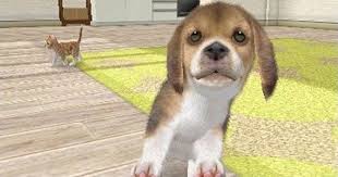 How many cats and dogs can i actually own in nintendogs + cats? Nintendogs Cats Review