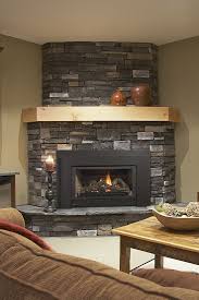 Regency E21 Gas Fireplace Insert