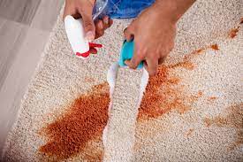how to remove water stains from carpet
