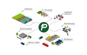 Store your funds securely in your cex.io account or send them to your external wallet. Potcoin The Future Of The Cannabis Industry