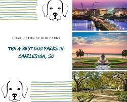 the four best dog parks in charleston sc