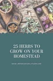 the 25 herbs you should be growing now