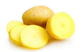 Hasil gambar untuk gambar kentang